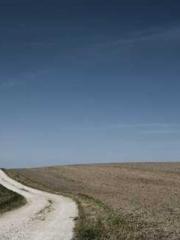 Free reading of Ling