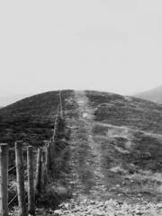 Flower Protection Ex Flower Protection Ex