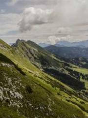 Second Marriage, Bli Second Marriage, Bli