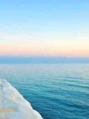 My Sweet Wife: The C